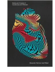 Multiscale imaging in cardiovascular diseases