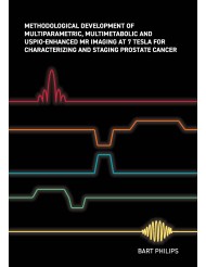 Methodological development of multiparametric, multimetabolic and USPIO-enhanced MR imaging at 7 Tesla for characterizing and staging prostate cancer